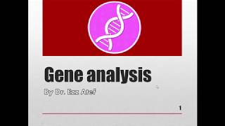 Biochemistry  1st year  gene analysis Part 1 [upl. by Fenelia725]