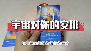 【塔羅牌占卜】宇宙對你的安排是什麼？VS你對自己想要的生活，你們想到一塊去了嗎？ [upl. by Eanert]