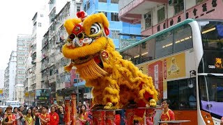 Chinese New Year 2019 Lion Dance Hong Kong [upl. by Aikyn]