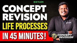 Class 10 CBSE Biology  Concept Revision  Life Processes In 45 Min  Xylem Class 10 CBSE [upl. by Siraval]