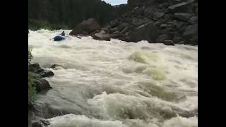 Tim Gaar  5800 CFS BearTrap Canyon  Madison River [upl. by Nahtnamas]