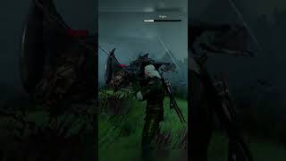 Geralt Beats Dragon Witcher 3 Wild Hunt shorts thewitcher [upl. by Yracaz]