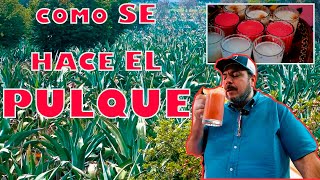 PULQUE  COMO SE HACE DESDE CERO l La Vaquita [upl. by Llednil159]