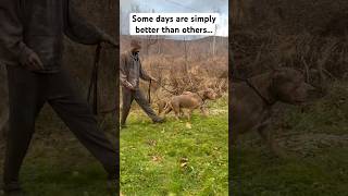 Some days are better simply then others 😂😵😒 shorts viral funny [upl. by Wallie]