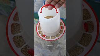 💥UNBOXING BIRDS FOOD FEEDER AND WATER FEEDER 😍🦜shorts birds unboxing budgies lovebirdspetsvlog [upl. by Edieh]