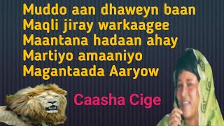 Miigane Libaaxow Caasha Cige Heestii Miigane Libaaxow Mudanaha dugagow Lyrics CaashaCige qaaci [upl. by Nagam]