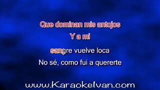 Los Pasteles Verdes  Esclavo y Amo KARAOKE [upl. by Rekyr]