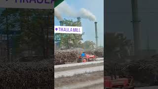 Tikaula sugar mill trending sugarmills youtubeshorts vlog shorts [upl. by Gerger302]