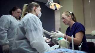 Student Experiences  Pima Medical Institute [upl. by Atiekram]