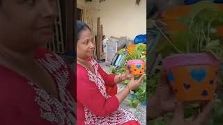 Making Plant in Terracotta Pot amuktika communityengagement [upl. by Barbe]