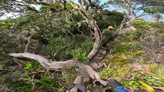 Mount Kinabalu  Via Ferrata LPC 5 Jungle [upl. by Etnuahs]