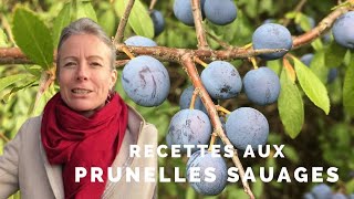 Prunelles sauvages [upl. by Crispa]