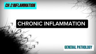 CHRONIC INFLAMMATION  General Pathology CH 02 [upl. by Hgielak]