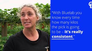 Black Stump Farms Case Study  50 increase in yield with Bluelab [upl. by Teirtza]