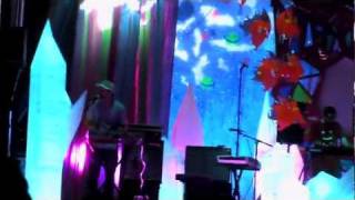 Animal Collective  Taste  Pitchfork 2011 [upl. by Aniad942]