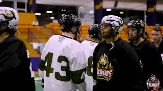 Albany FireWolves vs Rochester Knighthawks  NLL Preseason Highlights 2024 [upl. by Zippora]