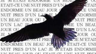 Barbara  Laigle noir 🦅 「 1 HEURE ♬」 [upl. by Ffej908]