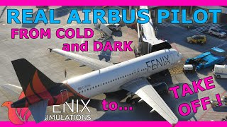 Fenix A320 Full Setup Guide with a Real Airbus Pilot Beginner Friendly [upl. by Madlen]