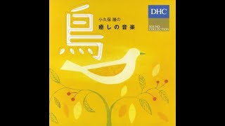 小久保 隆 Takashi Kokubo  Healing Music  Bird Full Album [upl. by Gauldin]