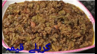 Karely keema recipe by feel hungrykeema karely recipe in urdu  lahori style recipefeelhungry [upl. by Aerdied]