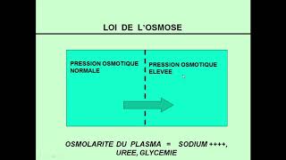 Déshydratation Aigue  Partie 1 Professeur Laalaoui [upl. by Clarkson49]