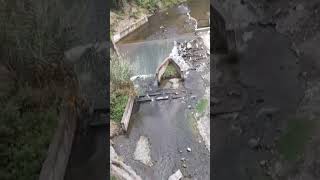 Barsaat bhi aakar chali gayi nature water natural shortsvideo [upl. by Rastus]