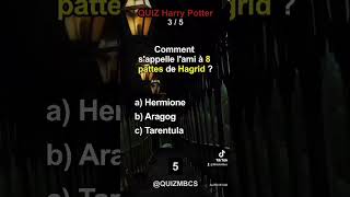 Quiz MBCS Harry Potter harrypotter [upl. by Lisha]