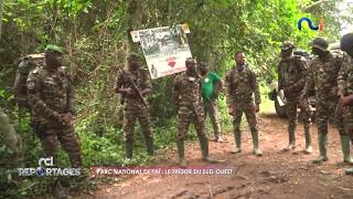 NCI Reportages Lutte contre le braconnage au Parc national de Taï [upl. by Melba]