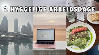 VLOG 2 skønne arbejdsdage som 19årig selvstændig i Dubai 🇦🇪 [upl. by Harvison37]