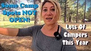 More Cheap amp Free Camping Williams Dogtown Lake  Northern Arizona [upl. by Karrie]