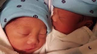 Monochorionic Diamniotic Twins I Identical Twins I Share the Same Placenta I TWINventures [upl. by Ygief]