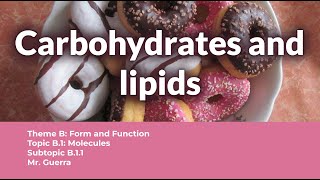 B11 Carbohydrates and lipids  IB Biology SL NEW SYLLABUS First assessment 2025 [upl. by Thomasin]