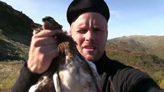 Trailer  Rypejakt i Rypas Rike 2 Ptarmigan Hunting  Grouse Hunting [upl. by Koenraad]