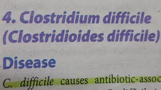 Clostridium Difficile  MICROBIOLOGY [upl. by Dygert]