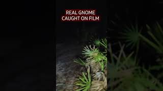 Real GNOME ATTACK caught on TAPE gnomes scary shortfilm cryptids monster [upl. by Okimuy]