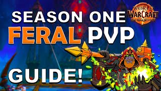 Feral Druid Season 1 PvP Guide World of Warcraft The War Within 1102 [upl. by Ahkeber]