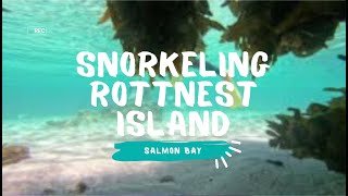 Snorkeling Rottnest Island Salmon Bay Australia [upl. by Idou365]