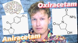 Aniracetam vs Oxiracetam Next Level Brain Boosters [upl. by Ainiger]