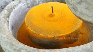 How to make Turmeric Powder  Fresh Homemade Organic Turmeric Powder  Village Food Secrets [upl. by Kcod752]