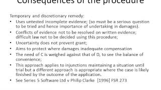 Injunctions talk 2 Interim Injunctions [upl. by Eseilenna]