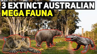 3 Extinct Australian Mega Fauna [upl. by Orodoet]