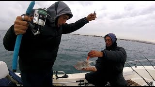 Pesca ai Cefalopodi  Seppia Polpi Calamari dalla barca [upl. by Zack580]