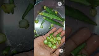 raasi tips dosa dawa seasoning tips tamileasyhometips kitchentip usefulltips moneysavingtip [upl. by Jodee]