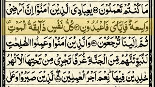 Kullu Nafsin zaikatul Maut Surah  Very Beautiful Quran Recitaition  Surah Ankabut Ayat [upl. by Yesdnik]