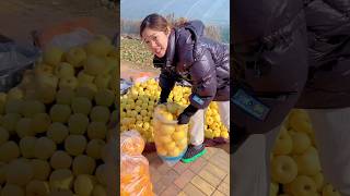 Enjoy yellow apple fruit cutting apples short [upl. by Ellery]