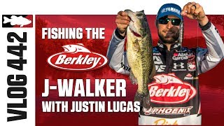 Justin Lucas Fishing The Berkley JWalker on Lake X in Kentucky – Tackle Warehouse VLOG 442 [upl. by Eintruoc457]