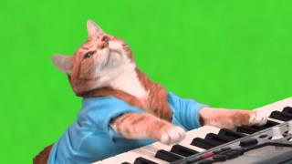 Make Your Own Keyboard Cat  Green Screen [upl. by Eigriv]