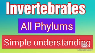 InvertebratesAll phylaAnimal biodiversity 1BiologyINVERTEBRATESA complete Understanding [upl. by Eves]