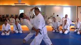 Nariyama Shihan  teaching Kote Hineri 4 [upl. by Suoicerp]