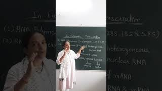 Transcription in EukaryotesTypes of RNA Polymerase in EukaryotesClass 12th biology neet shorts [upl. by Nyar]